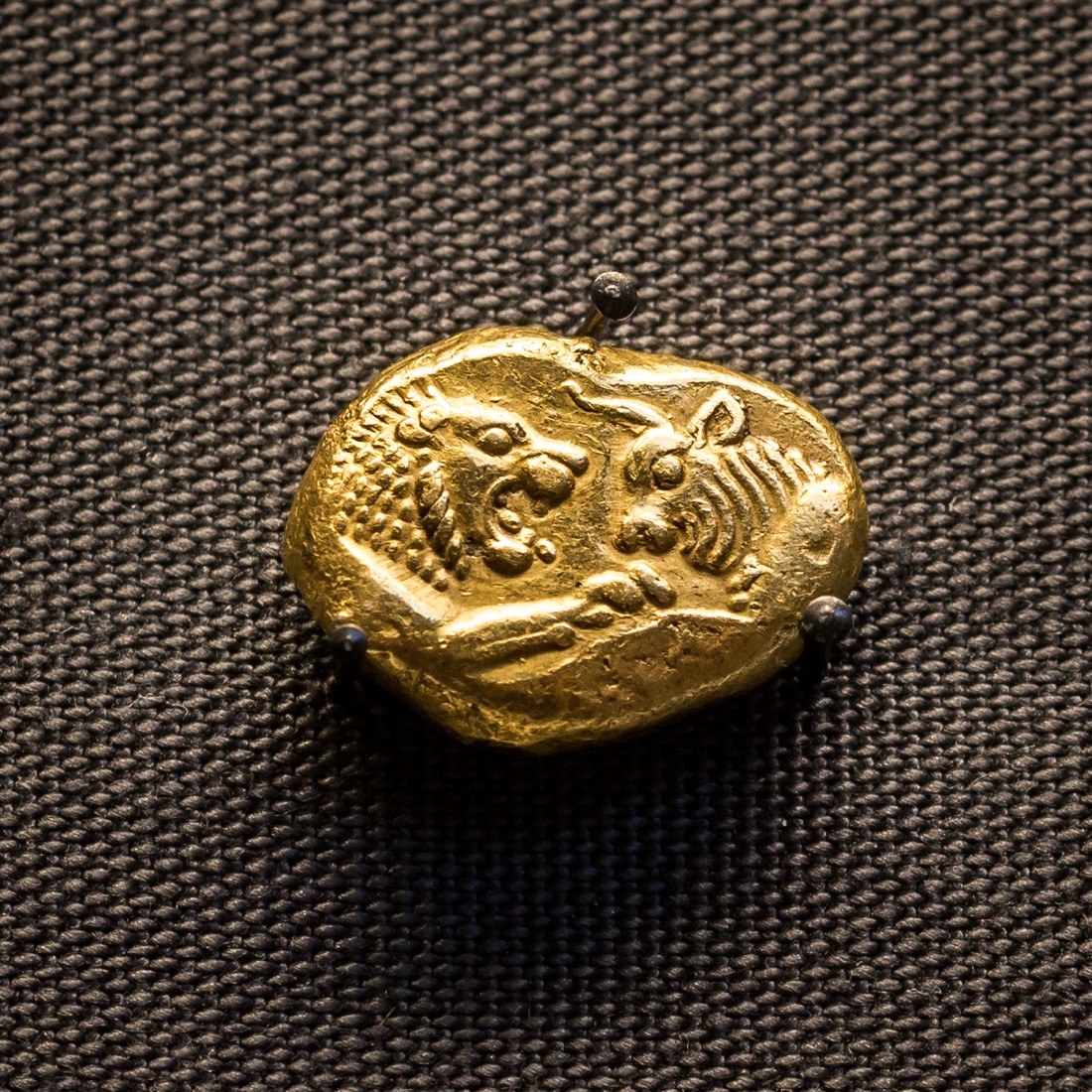 Gold stater of King Croesus of Lydia with the foreparts of a lion and a bull